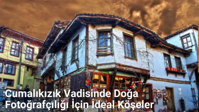 Cumalıkızık Vadisinde Doğa Fotoğrafçılığı İçin İdeal Köşeler - bursadoga.net.tc