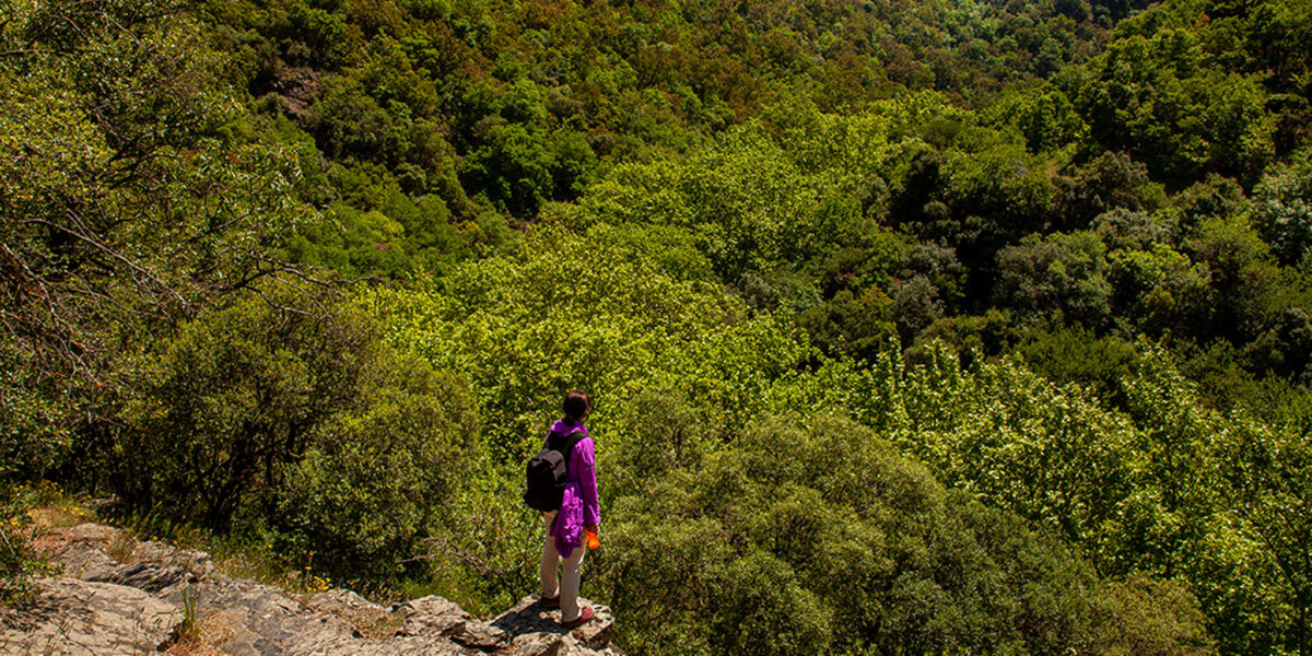 Bursa yaylalarında trekking rotası Uludağ Pamuklu Yaylası manzarası