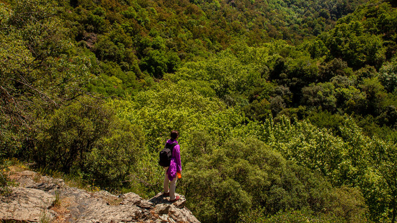 Bursa yaylalarında trekking rotası Uludağ Pamuklu Yaylası manzarası