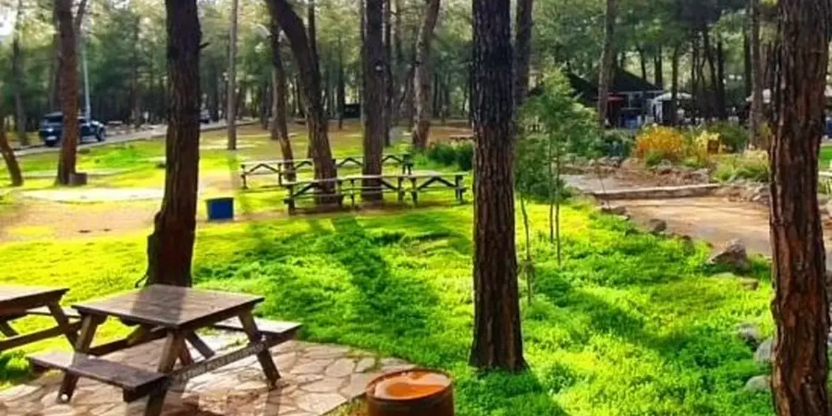 Bursa Uludağ ormanlık alanda piknik yapan aile manzarası