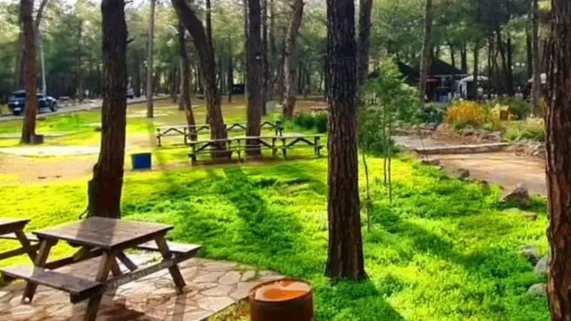 Bursa Uludağ ormanlık alanda piknik yapan aile manzarası