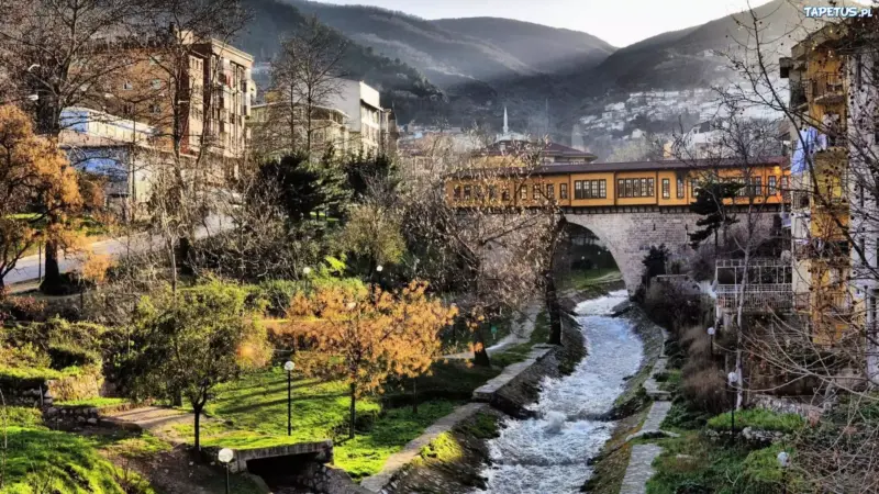 Bursa Uludağ Sarıalan Yaylası manzara terası doğa fotoğrafı