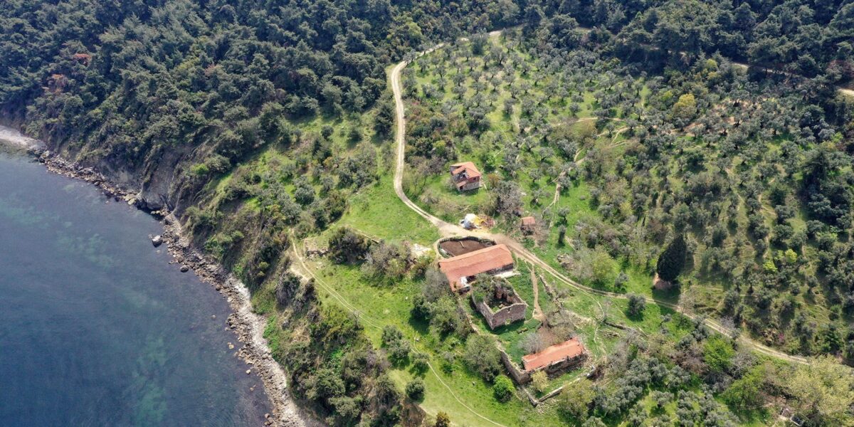 Bursa Ayvaz Şelalesi'nde akan berrak sular ve yeşil orman manzarası