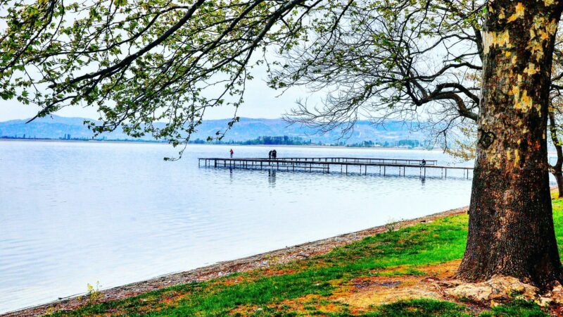 İznik Gölü kenarında piknik yapan insanlar ve mavi sular