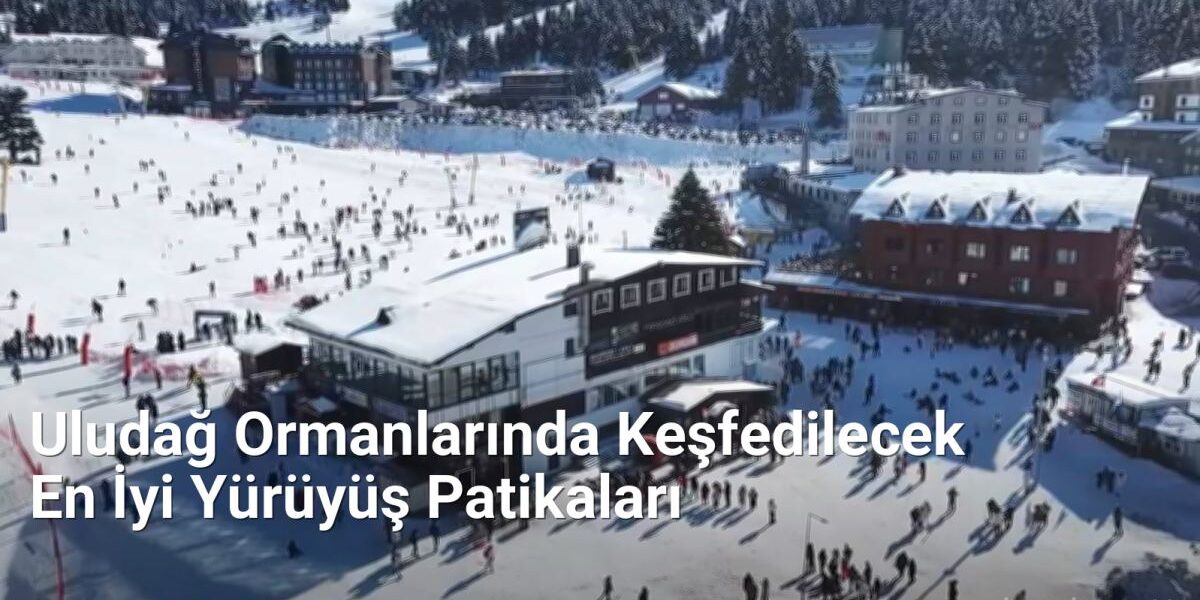 Uludağ Ormanlarında Keşfedilecek En İyi Yürüyüş Patikaları - bursadoga.net.tc