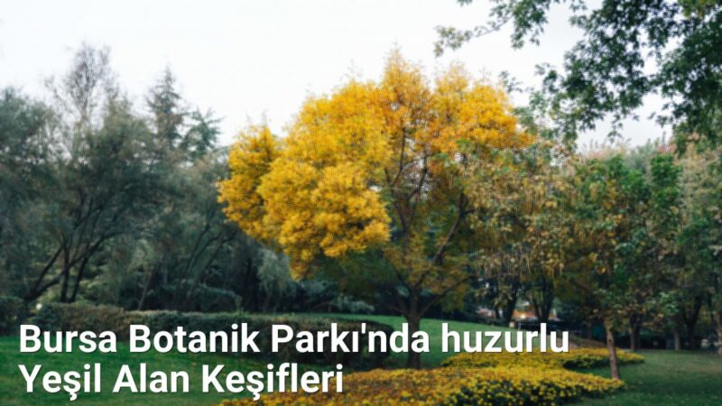 Bursa Botanik Parkı'nda huzurlu Yeşil Alan Keşifleri - bursadoga.net.tc