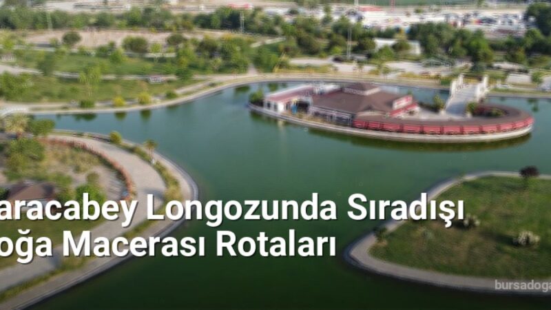 Karacabey Longozunda Sıradışı Doğa Macerası Rotaları - bursadoga.net.tc