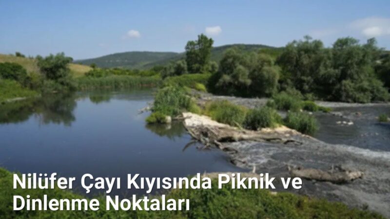 Nilüfer Çayı Kıyısında Piknik ve Dinlenme Noktaları - bursadoga.net.tc