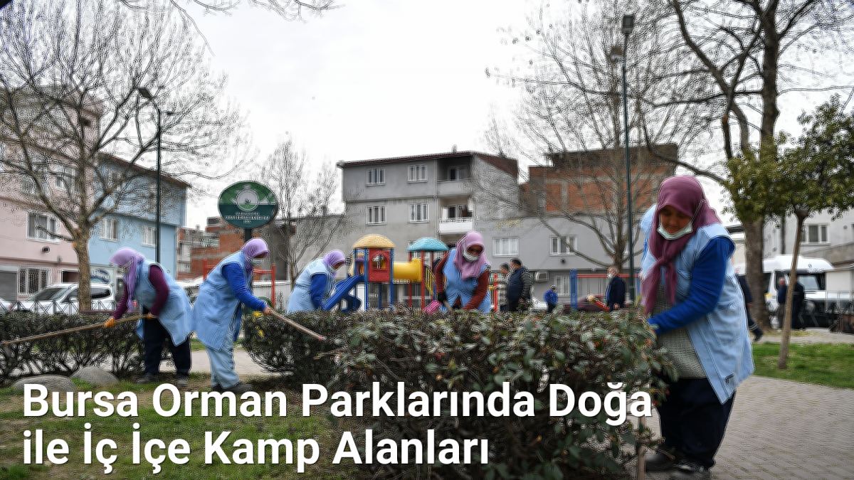 Bursa Orman Parklarında Doğa ile İç İçe Kamp Alanları - bursadoga.net.tc