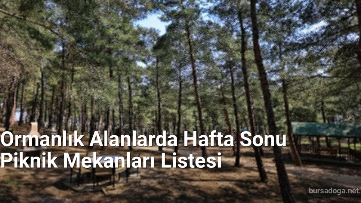 Ormanlık Alanlarda Hafta Sonu Piknik Mekanları Listesi - bursadoga.net.tc