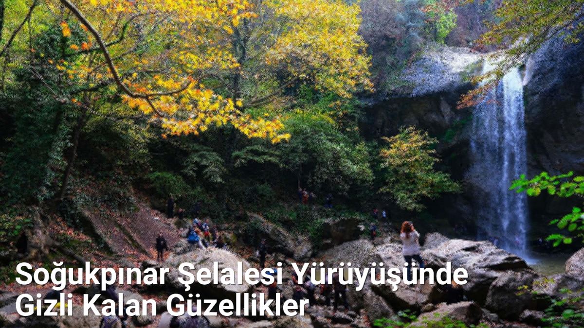 Soğukpınar Şelalesi Yürüyüşünde Gizli Kalan Güzellikler - bursadoga.net.tc