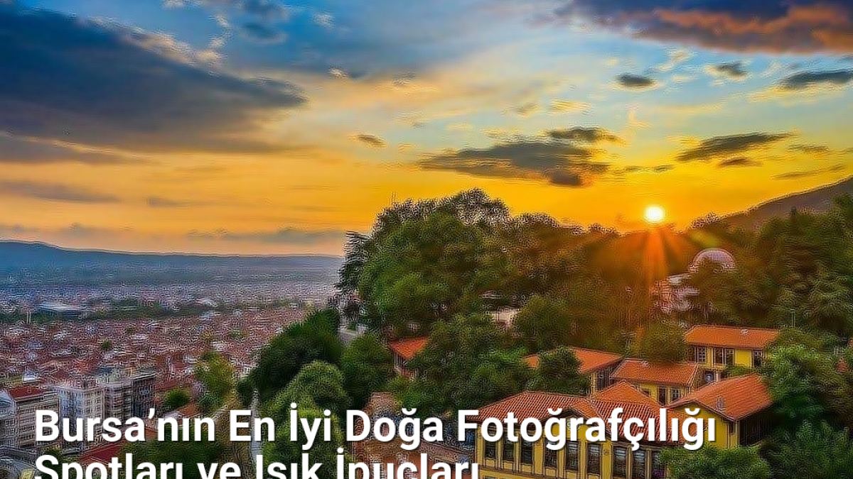 Bursa’nın En İyi Doğa Fotoğrafçılığı Spotları ve Işık İpuçları - bursadoga.net.tc