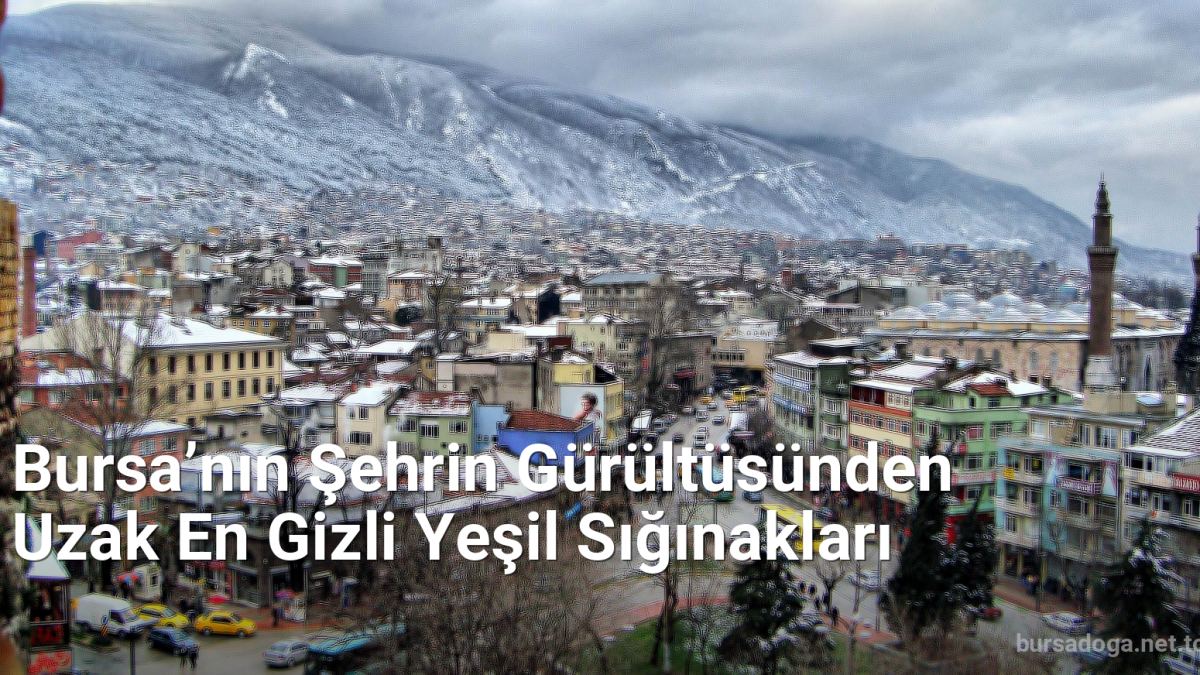 Bursa’nın Şehrin Gürültüsünden Uzak En Gizli Yeşil Sığınakları - bursadoga.net.tc