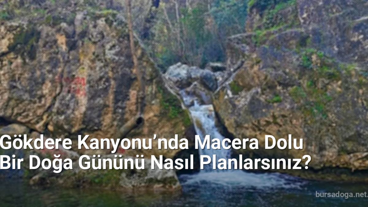 Gökdere Kanyonu’nda Macera Dolu Bir Doğa Gününü Nasıl Planlarsınız? - bursadoga.net.tc