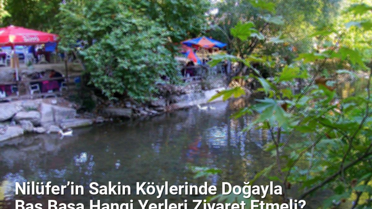 Nilüfer’in Sakin Köylerinde Doğayla Baş Başa Hangi Yerleri Ziyaret Etmeli? - bursadoga.net.tc