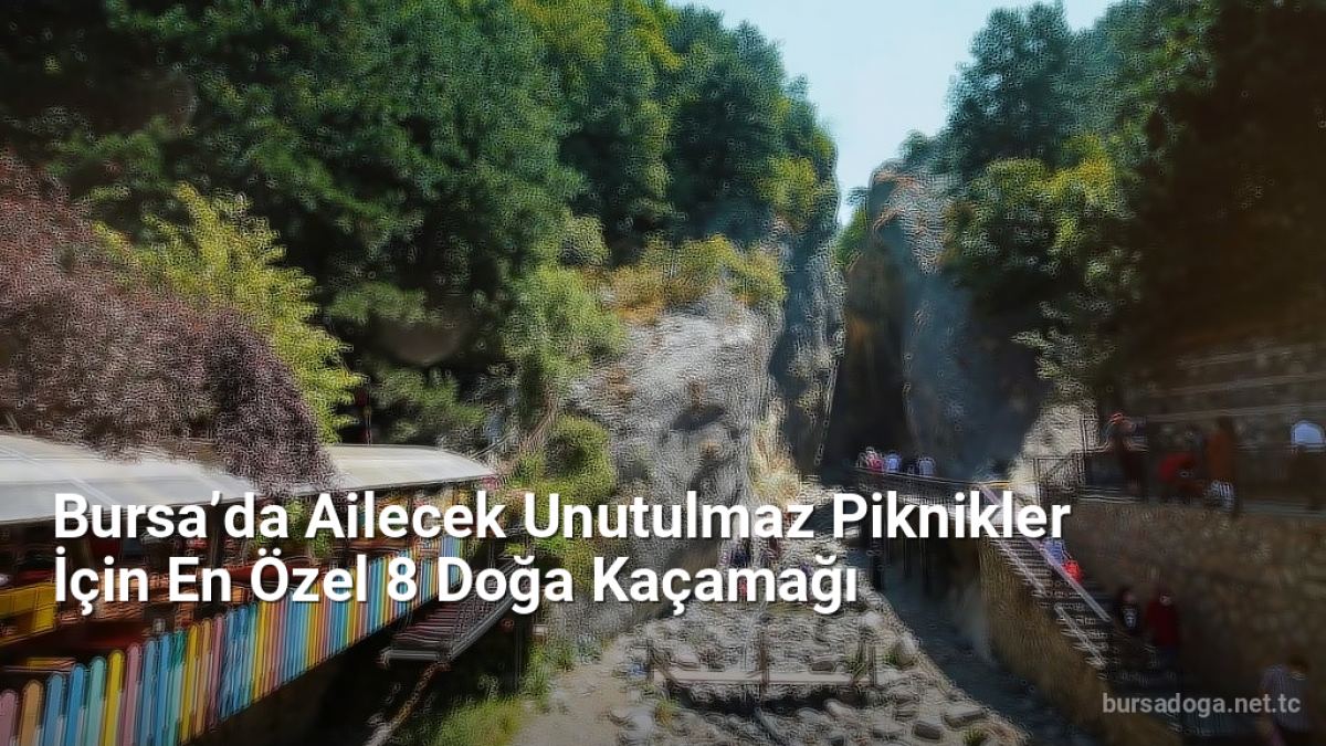 Bursa’da Ailecek Unutulmaz Piknikler İçin En Özel 8 Doğa Kaçamağı - bursadoga.net.tc